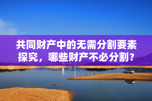 共同财产中的无需分割要素探究，哪些财产不必分割？