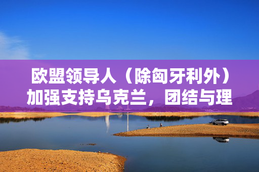 欧盟领导人（除匈牙利外）加强支持乌克兰，团结与理解的呼声持续增强