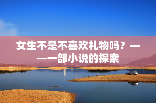 女生不是不喜欢礼物吗？——一部小说的探索