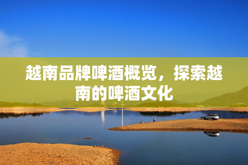 越南品牌啤酒概览，探索越南的啤酒文化