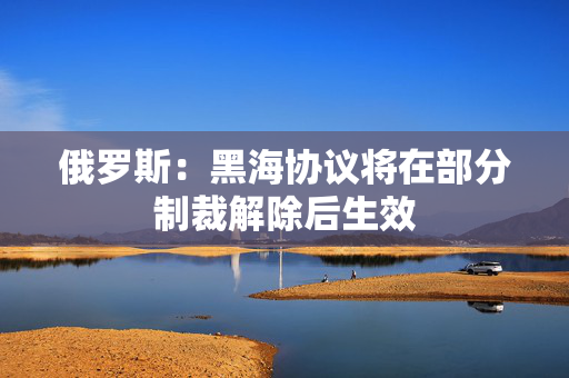 俄罗斯：黑海协议将在部分制裁解除后生效