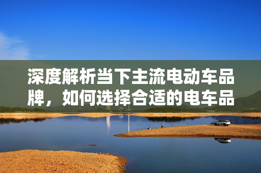 深度解析当下主流电动车品牌，如何选择合适的电车品牌？