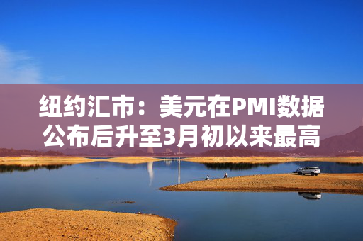 纽约汇市：美元在PMI数据公布后升至3月初以来最高