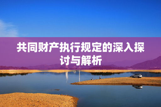 共同财产执行规定的深入探讨与解析