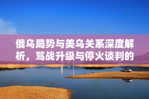 俄乌局势与美乌关系深度解析，骂战升级与停火谈判的未来走向探讨
