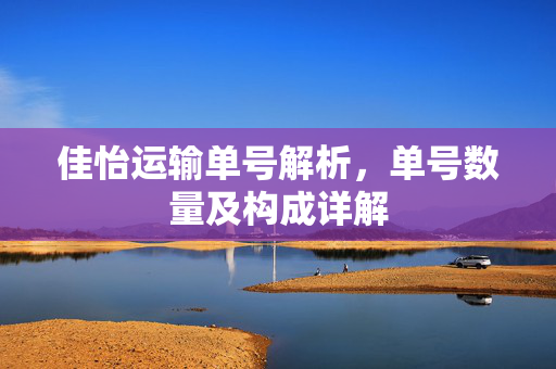 佳怡运输单号解析，单号数量及构成详解