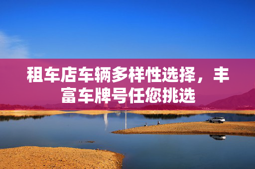 租车店车辆多样性选择，丰富车牌号任您挑选