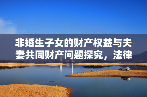 非婚生子女的财产权益与夫妻共同财产问题探究，法律视角下的探讨与解析