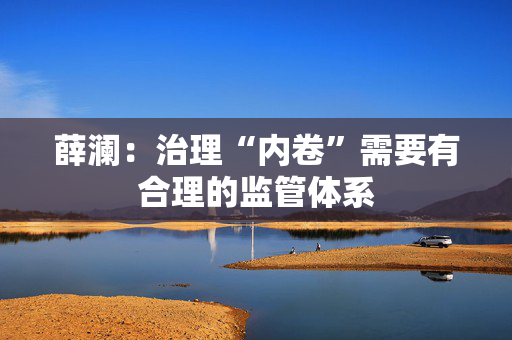 薛澜：治理“内卷”需要有合理的监管体系