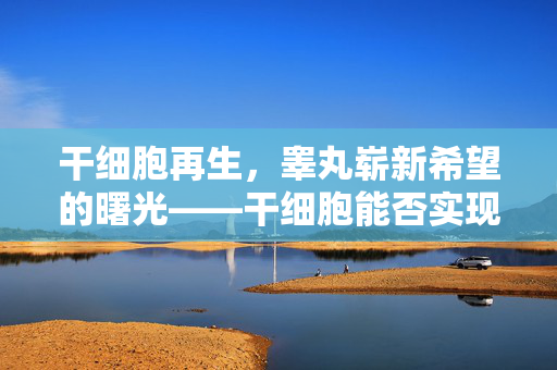 干细胞再生，睾丸崭新希望的曙光——干细胞能否实现睾丸再生？