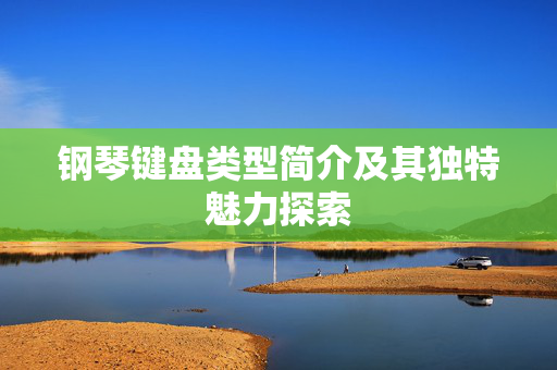 钢琴键盘类型简介及其独特魅力探索