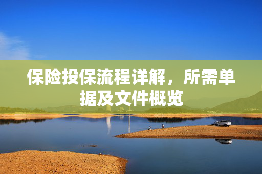 保险投保流程详解，所需单据及文件概览