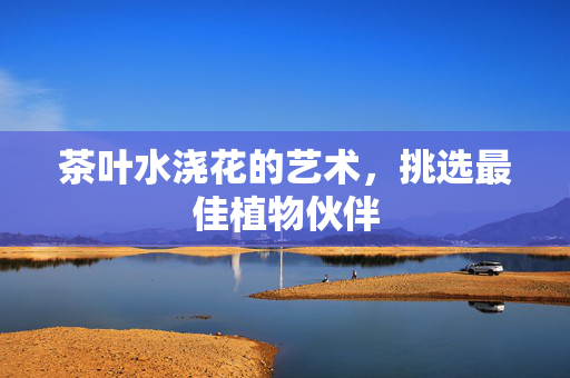 茶叶水浇花的艺术，挑选最佳植物伙伴