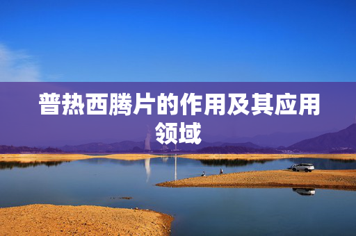 普热西腾片的作用及其应用领域