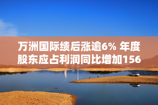 万洲国际绩后涨逾6% 年度股东应占利润同比增加156.28%