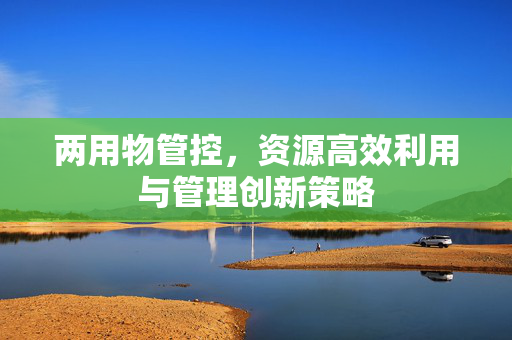 两用物管控，资源高效利用与管理创新策略