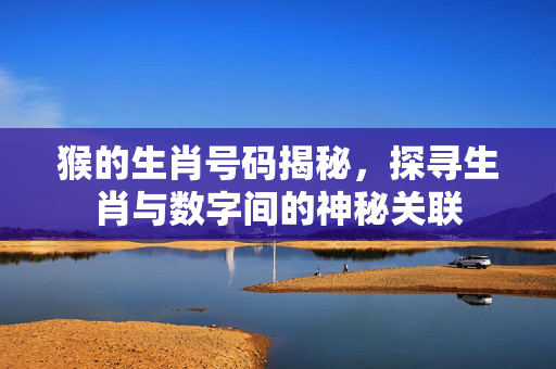 猴的生肖号码揭秘，探寻生肖与数字间的神秘关联