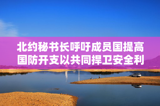 北约秘书长呼吁成员国提高国防开支以共同捍卫安全利益