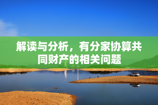 解读与分析，有分家协算共同财产的相关问题