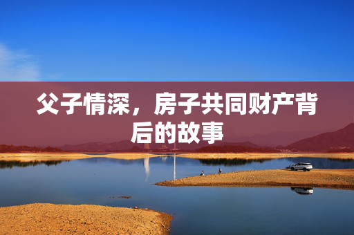 父子情深，房子共同财产背后的故事