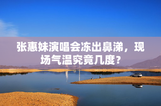张惠妹演唱会冻出鼻涕，现场气温究竟几度？