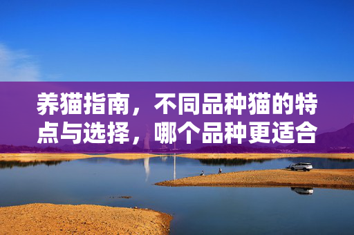 养猫指南，不同品种猫的特点与选择，哪个品种更适合你养？