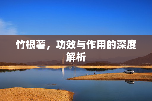 竹根薯，功效与作用的深度解析