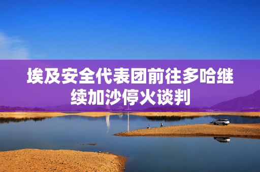 埃及安全代表团前往多哈继续加沙停火谈判