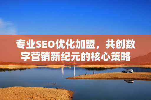 专业SEO优化加盟，共创数字营销新纪元的核心策略