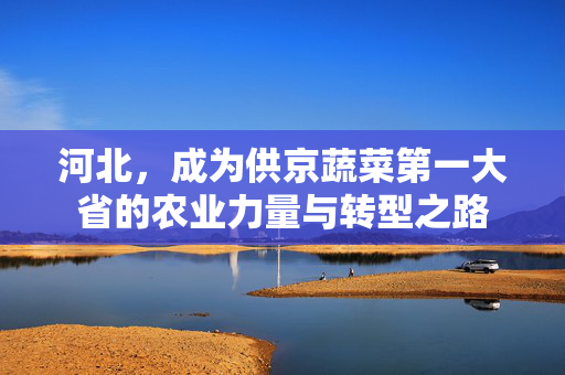 河北，成为供京蔬菜第一大省的农业力量与转型之路