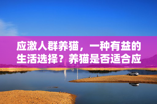 应激人群养猫，一种有益的生活选择？养猫是否适合应激人群？