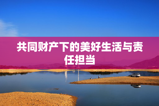 共同财产下的美好生活与责任担当