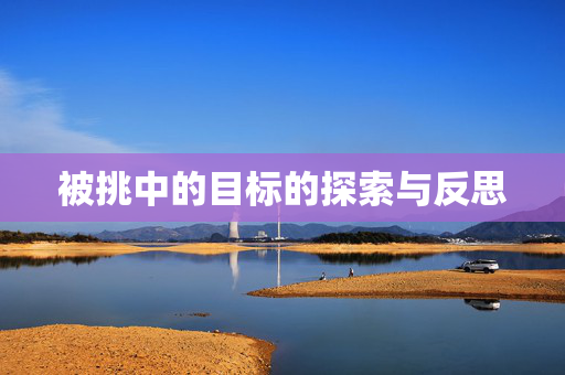 被挑中的目标的探索与反思