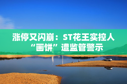 涨停又闪崩：ST花王实控人“画饼”遭监管警示