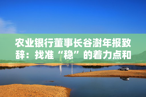 农业银行董事长谷澍年报致辞：找准“稳”的着力点和“进”的主攻方向