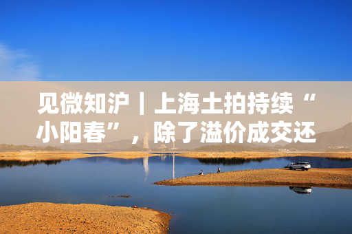 见微知沪｜上海土拍持续“小阳春”，除了溢价成交还有哪些看点？