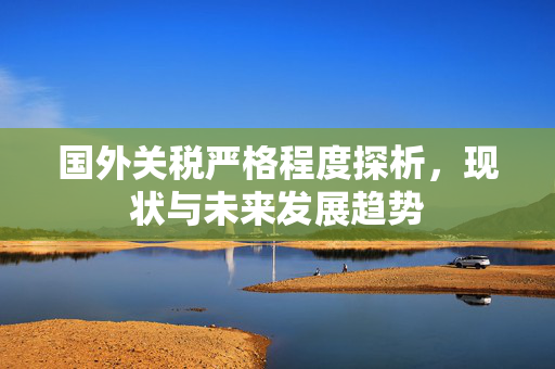 国外关税严格程度探析，现状与未来发展趋势