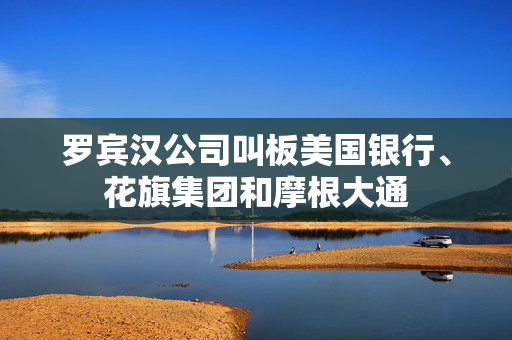 罗宾汉公司叫板美国银行、花旗集团和摩根大通