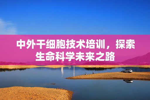 中外干细胞技术培训，探索生命科学未来之路