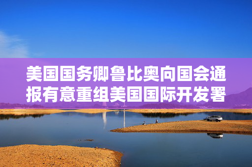 美国国务卿鲁比奥向国会通报有意重组美国国际开发署