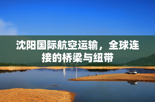 沈阳国际航空运输，全球连接的桥梁与纽带