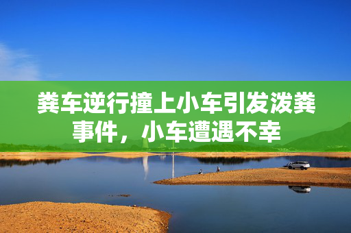 粪车逆行撞上小车引发泼粪事件，小车遭遇不幸