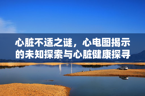 心脏不适之谜，心电图揭示的未知探索与心脏健康探寻