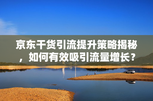 京东干货引流提升策略揭秘，如何有效吸引流量增长？