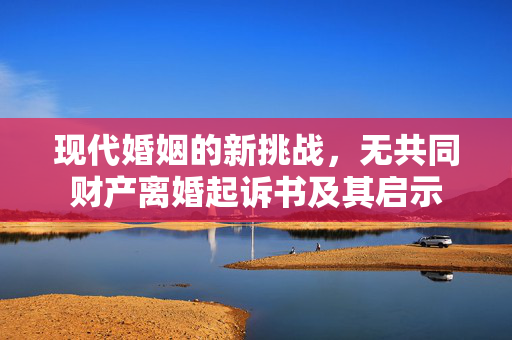 现代婚姻的新挑战，无共同财产离婚起诉书及其启示