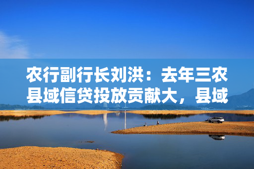 农行副行长刘洪：去年三农县域信贷投放贡献大，县域贷款余额增量突破1万亿