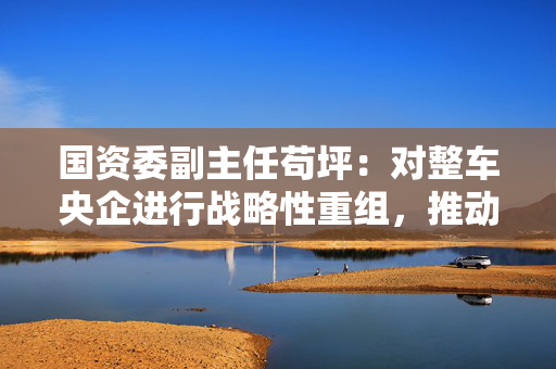 国资委副主任苟坪：对整车央企进行战略性重组，推动企业内部专业化整合