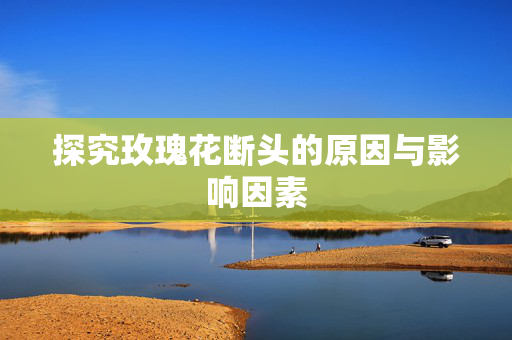 探究玫瑰花断头的原因与影响因素
