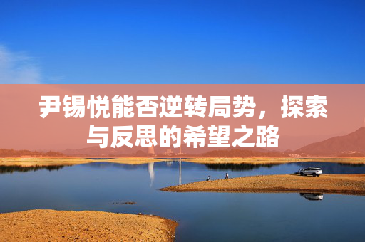 尹锡悦能否逆转局势，探索与反思的希望之路