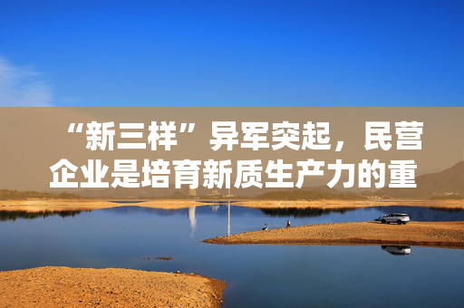 “新三样”异军突起，民营企业是培育新质生产力的重要力量